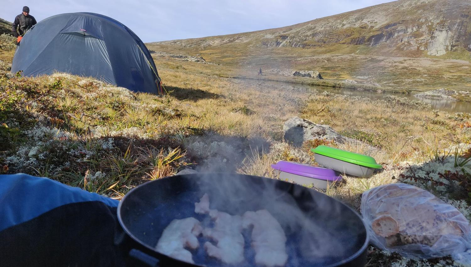 Musk Ox Safari Personal Tour, 2 days