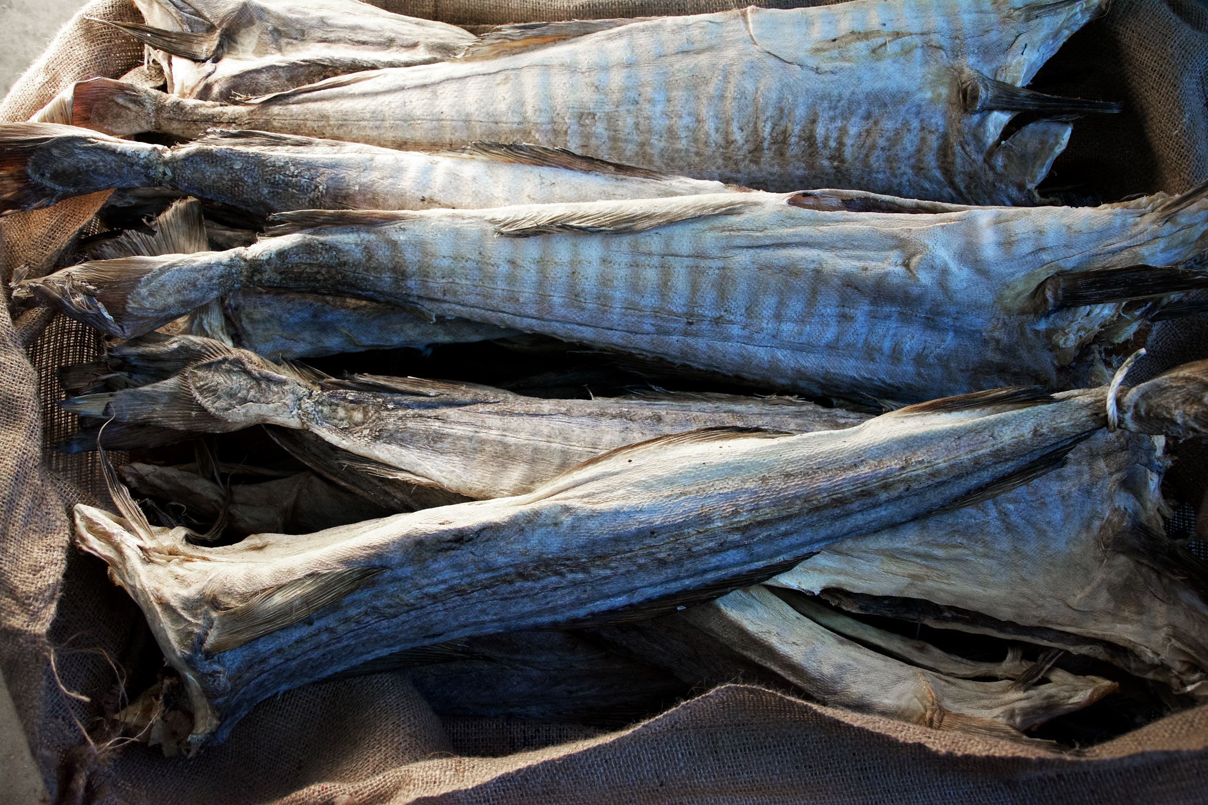 The stockfish is packed en shipped
