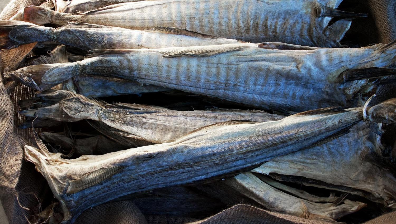 The stockfish is packed en shipped