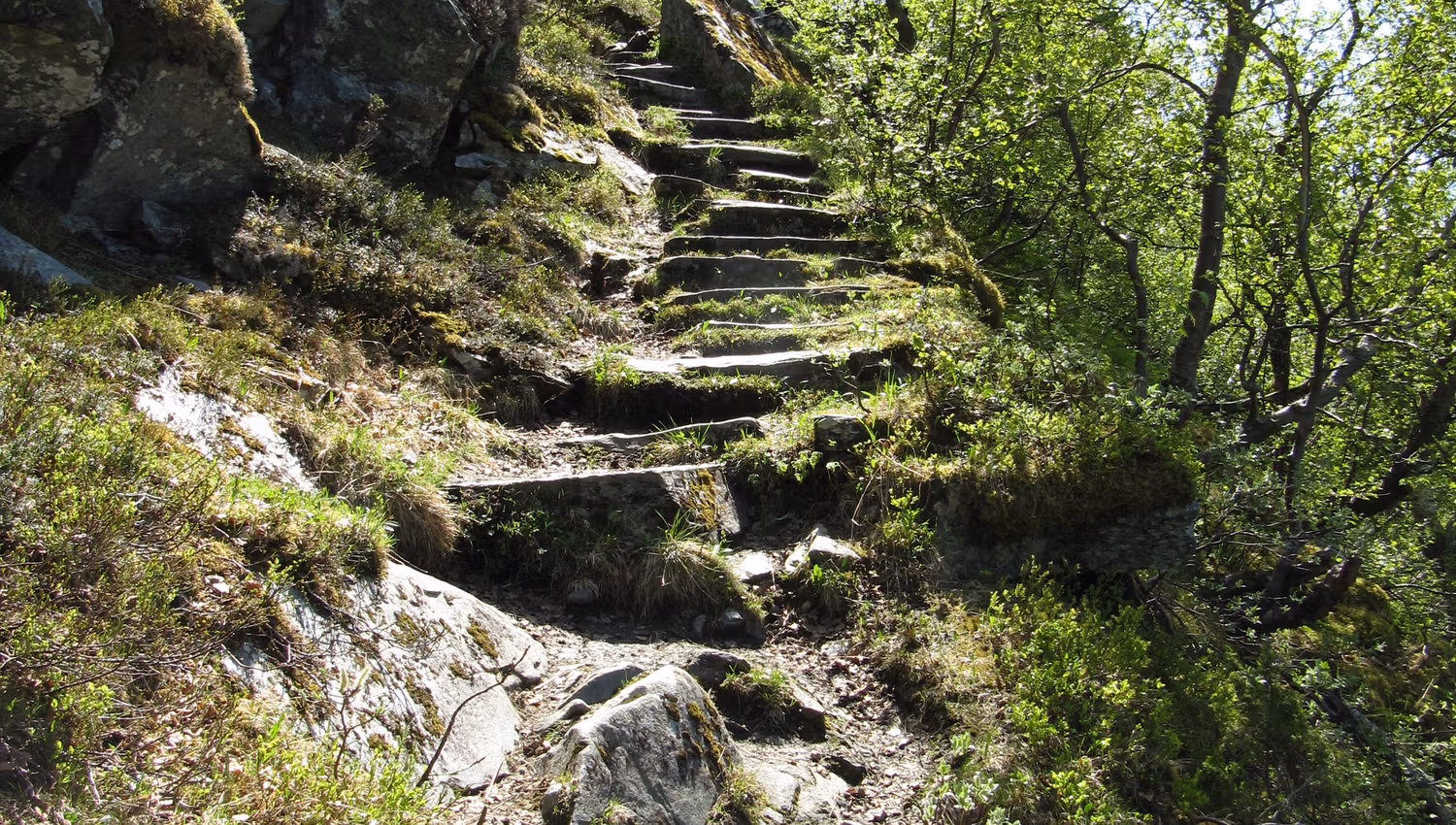 Steep stone steps winding up the mountainside along the Queen’s Trail in Hardanger.