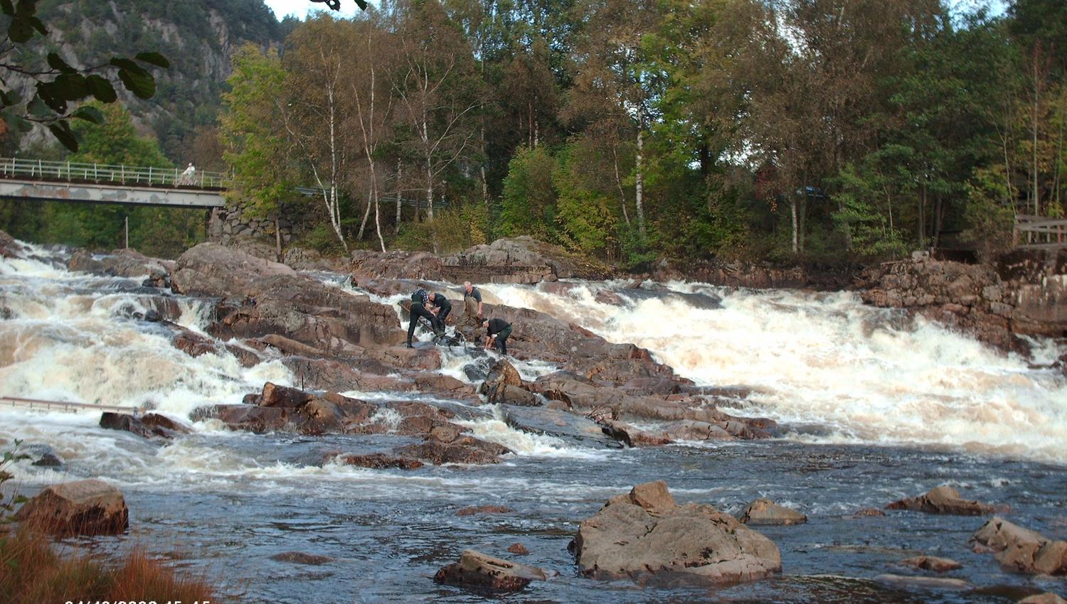 Four men fishing in a small waterfall in the river