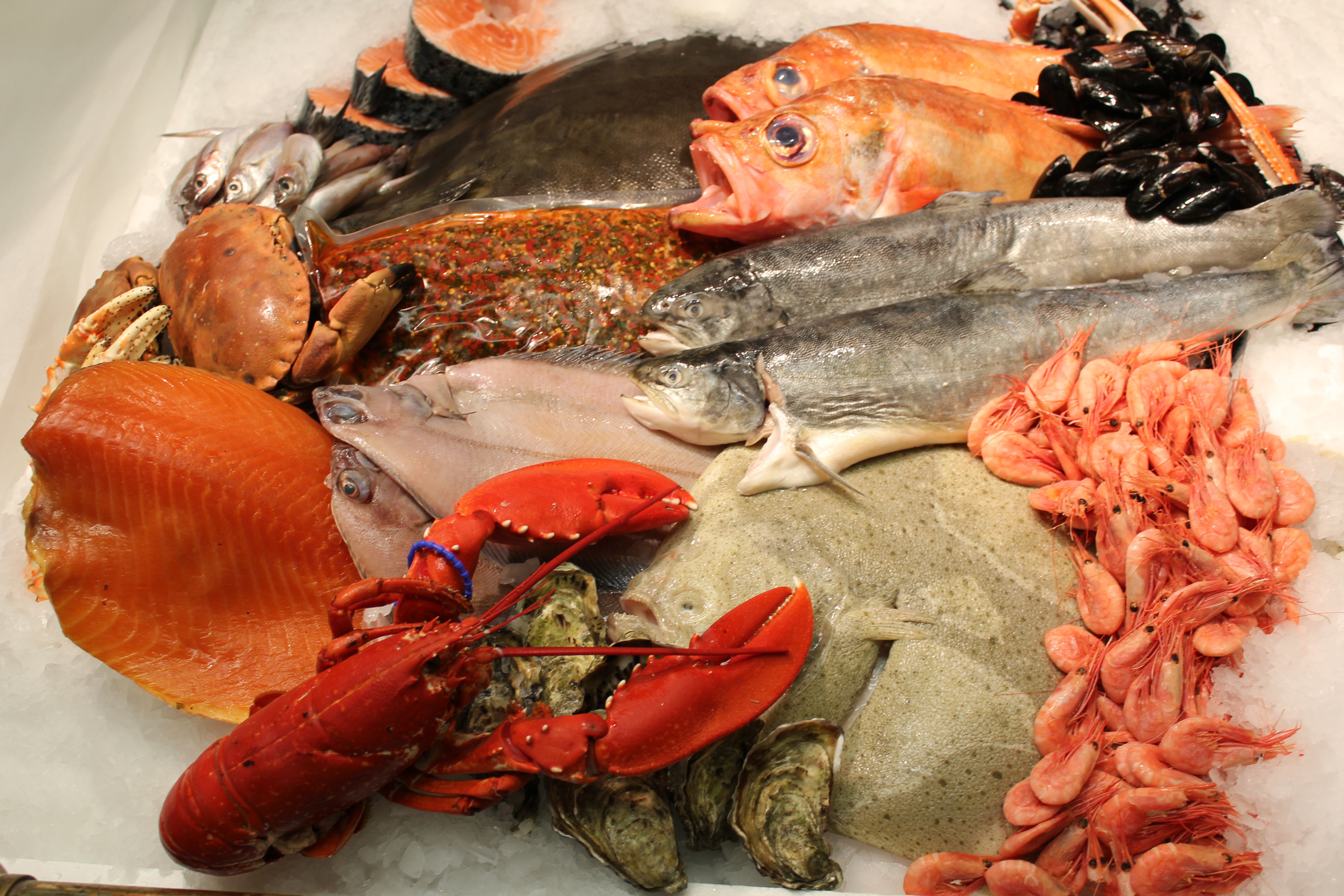 Fiskeeksperten Reinhartsen (4)