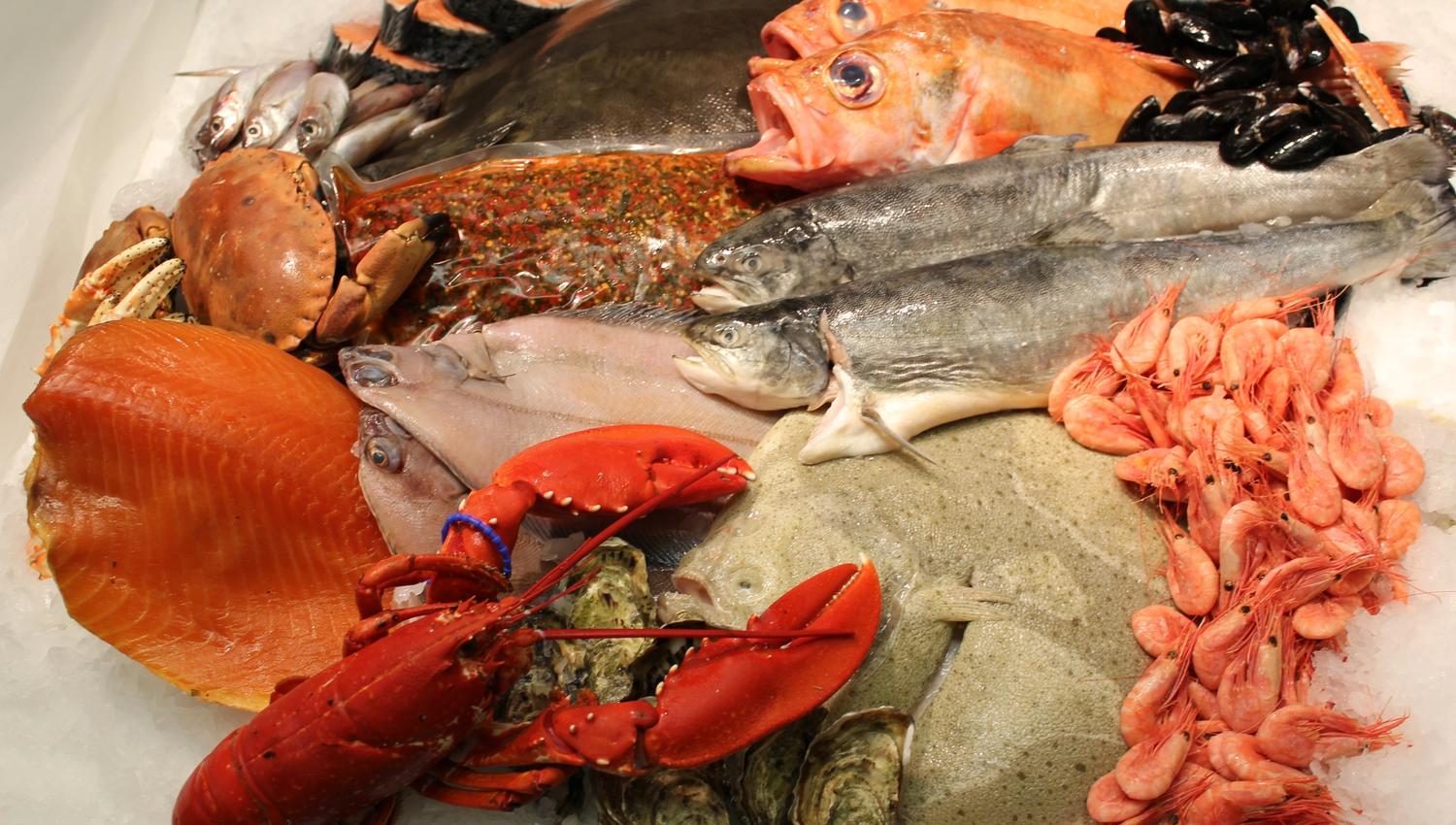 Fiskeeksperten Reinhartsen (4)