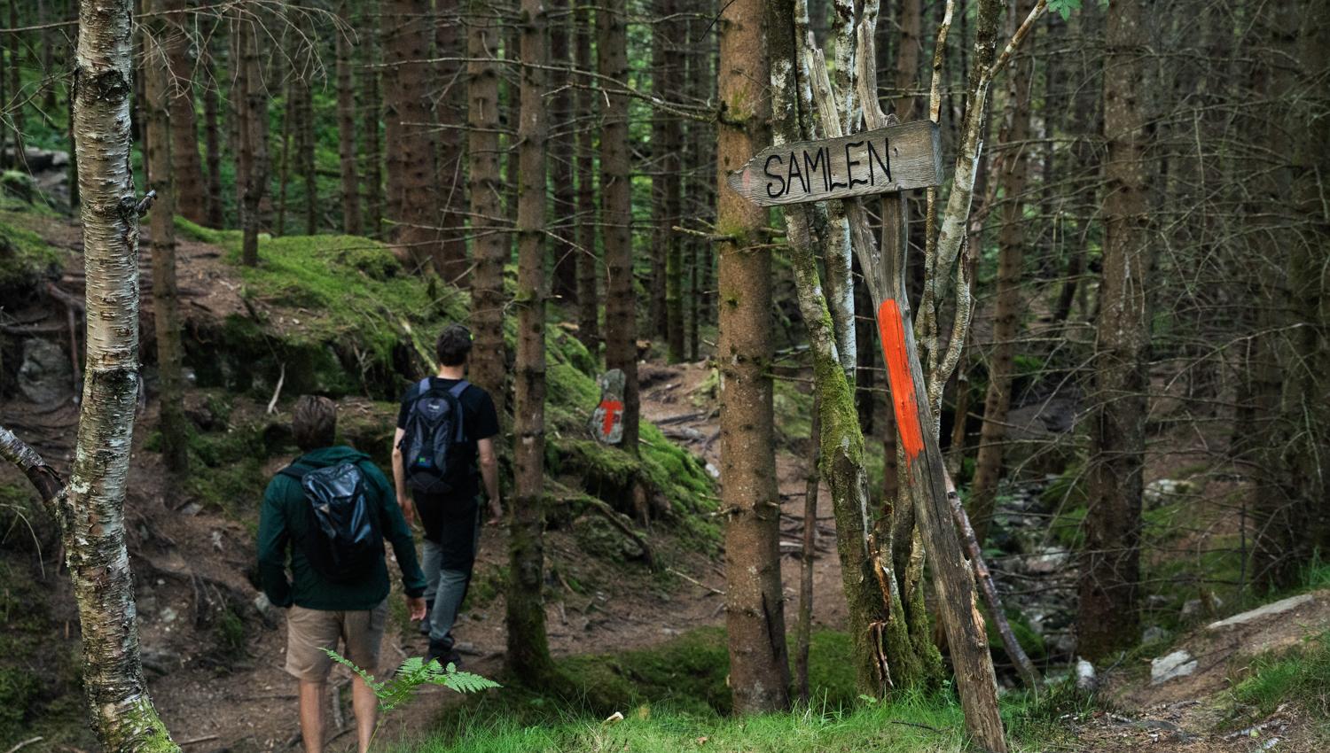 Starting point of the Samlen summit hike – a varied trail from forest to mountain peak in Hardanger.