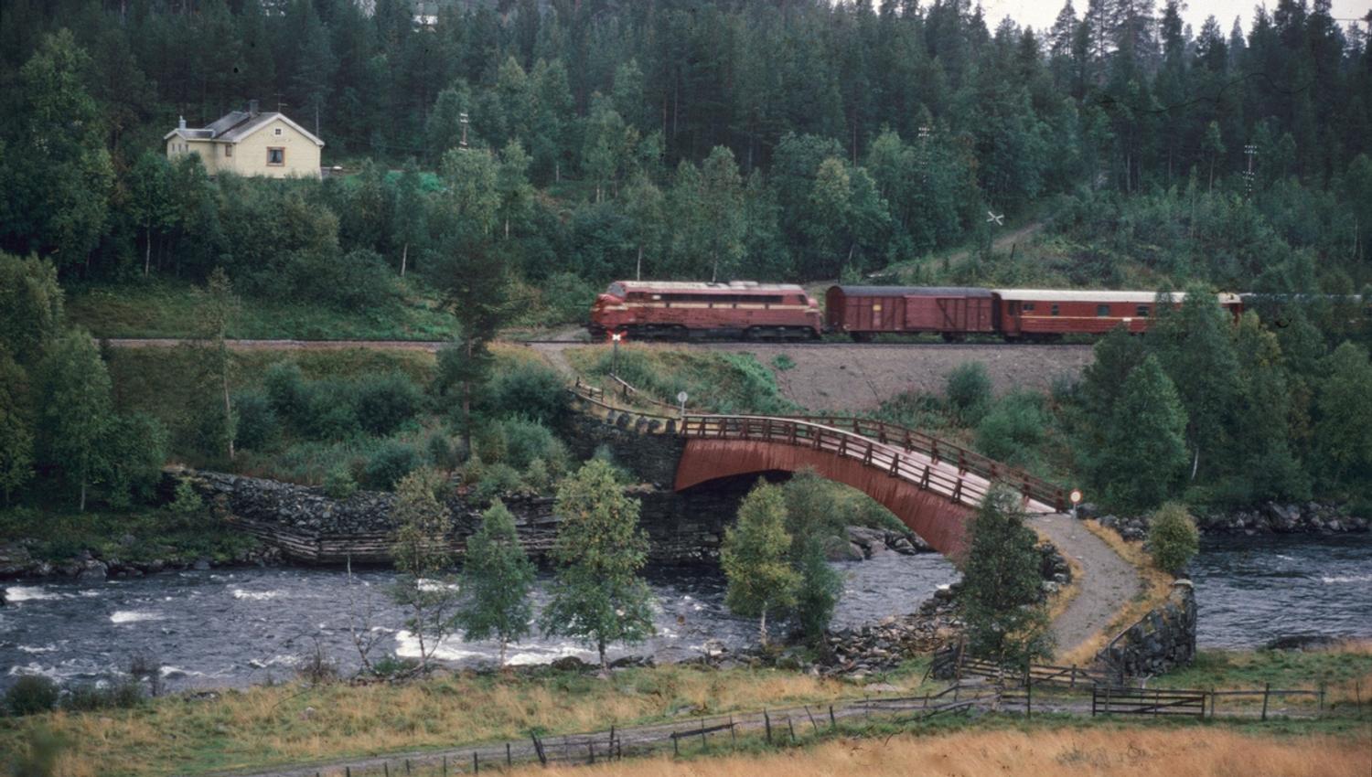 Gammelbrua