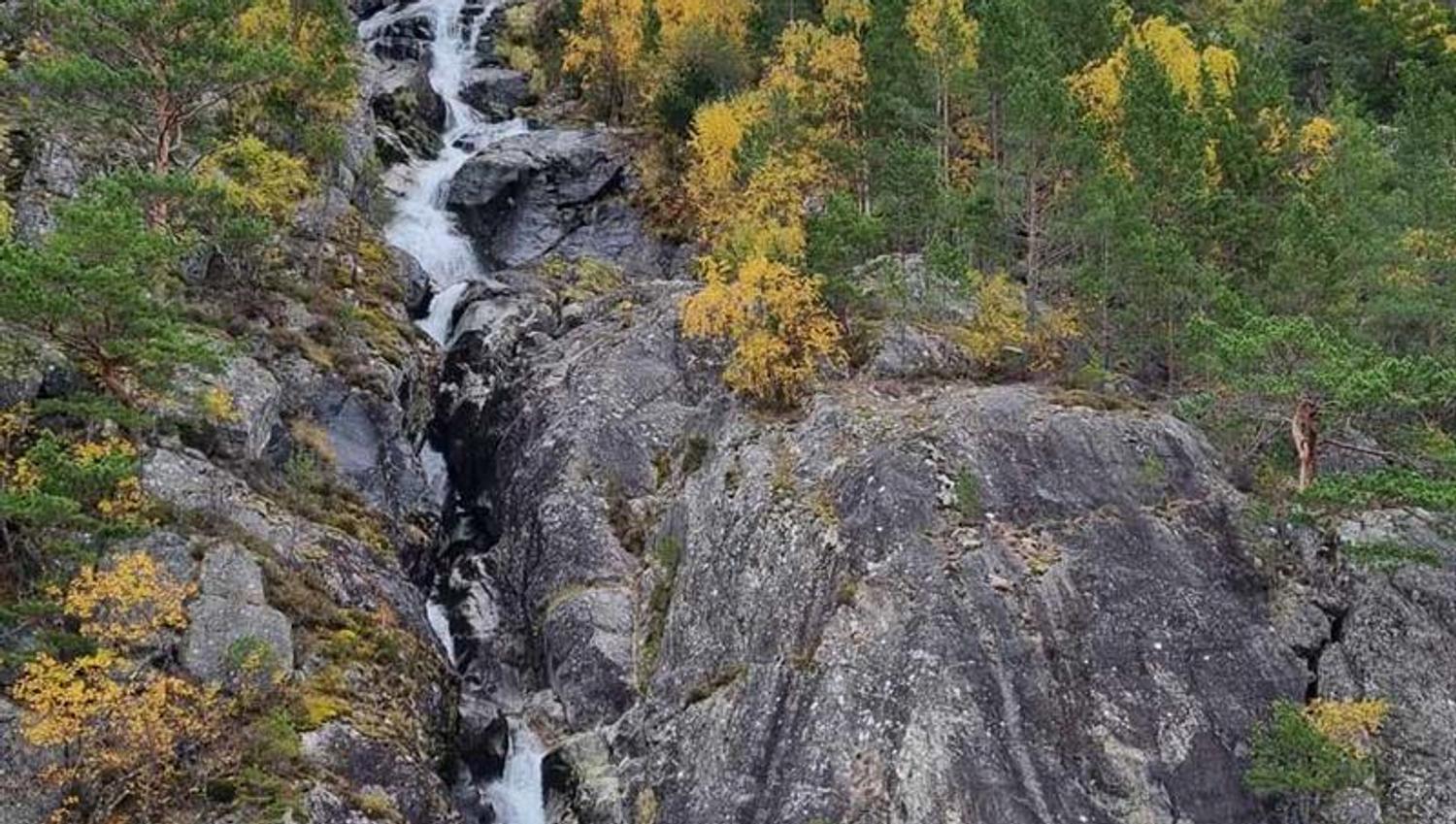 Foss renn ned ein grå bergvegg omkransa av gul og grøn haustskog ved Hardangerfjorden.
