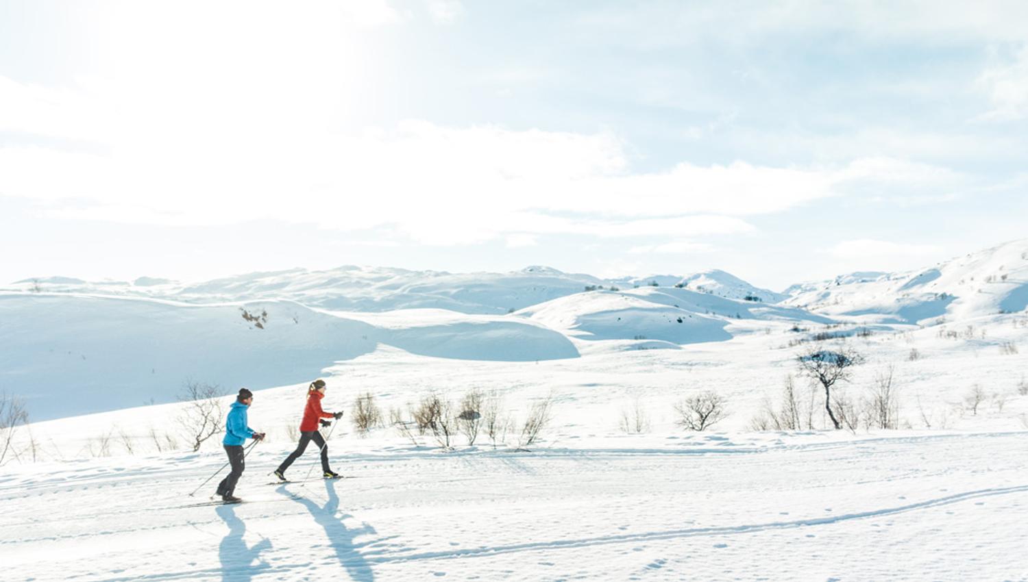 2 cross-country skiing at Haukeli