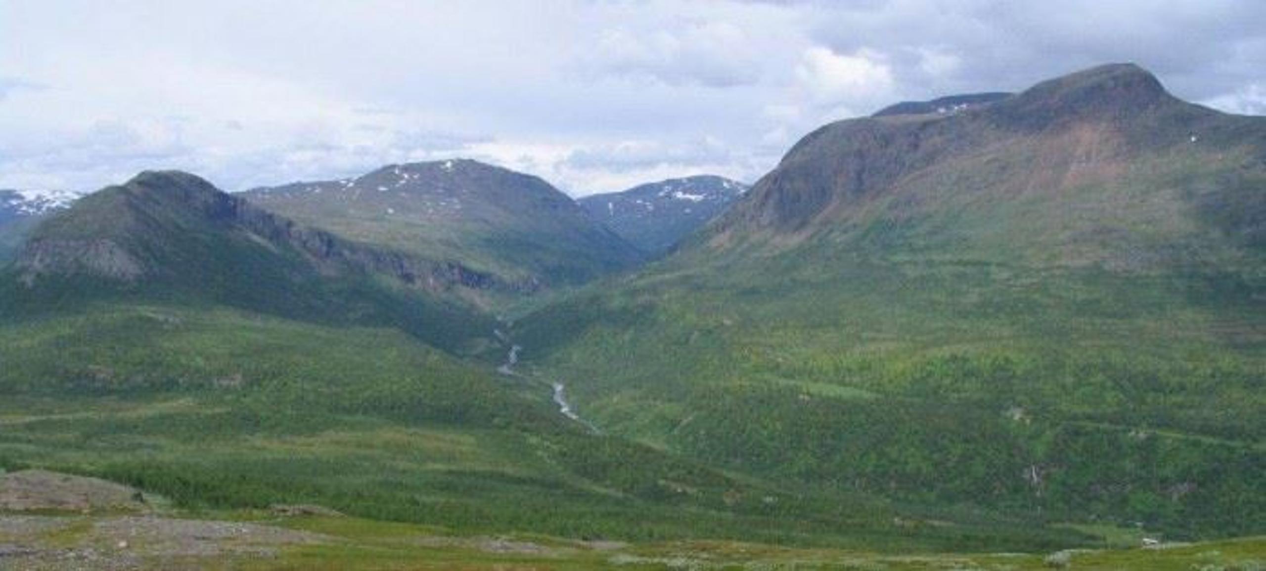 Junkerdal nasjonalpark