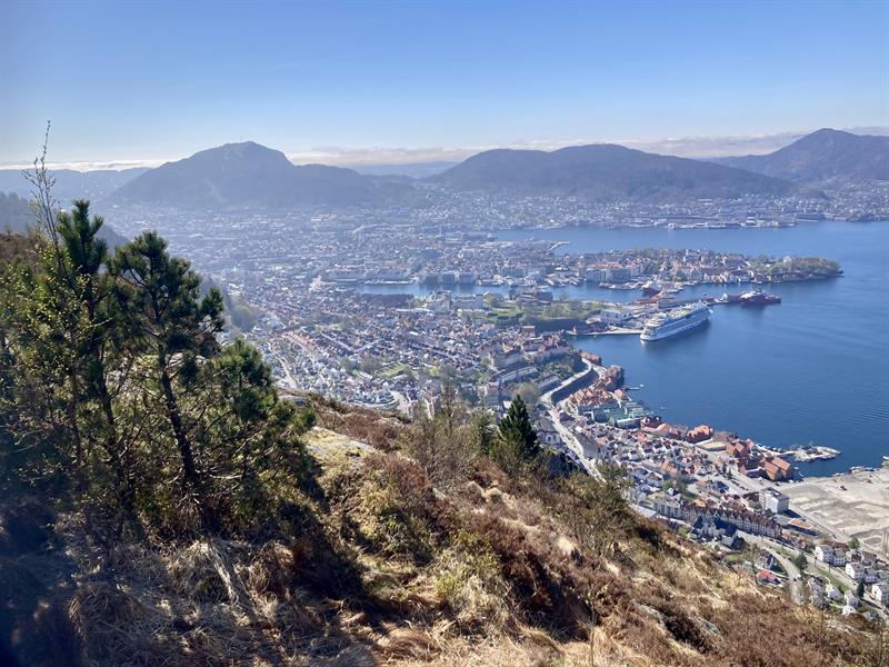 View of Bergen from above