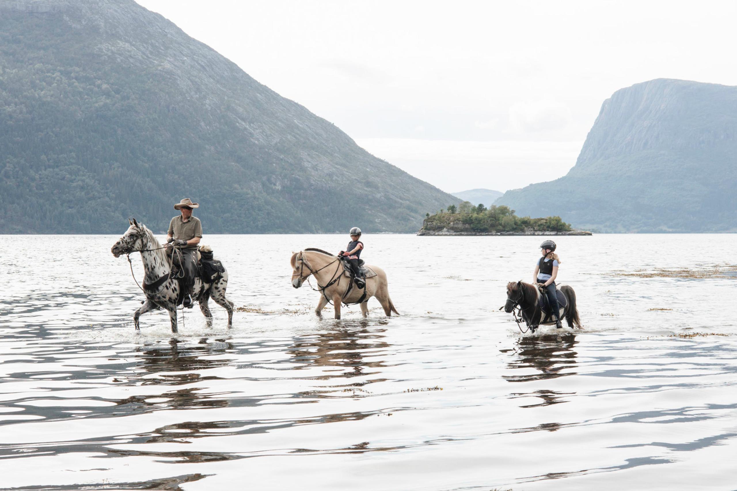 Join Indrefjord Gard on horseback riding tours