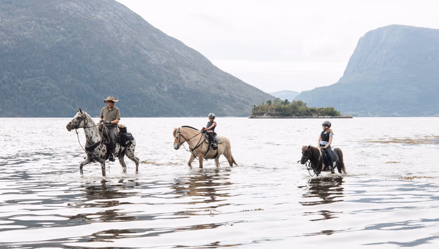 Join Indrefjord Gard on horseback riding tours