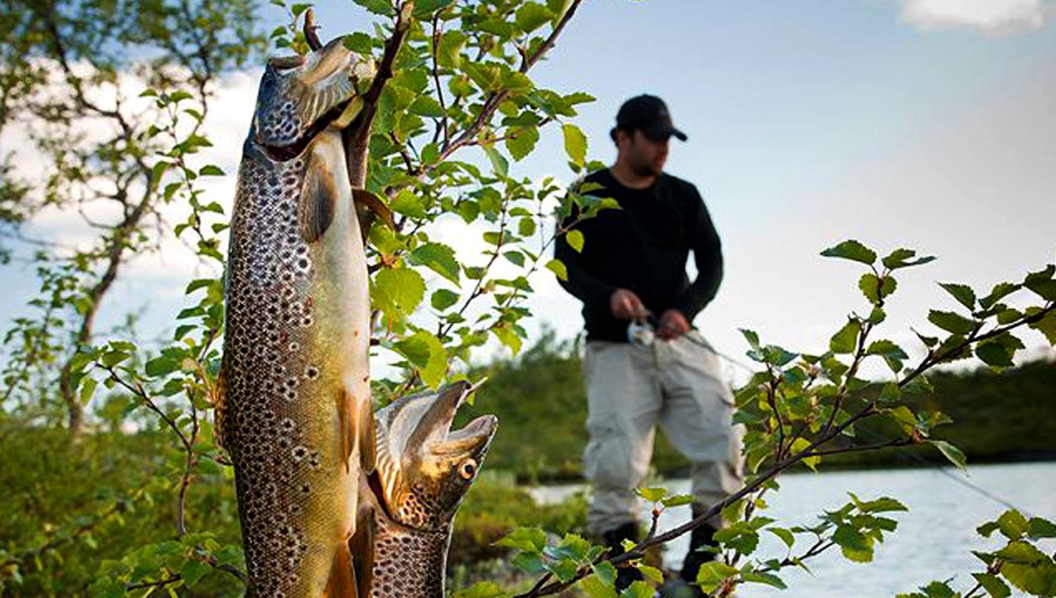 Happy fishing at Føllingstua