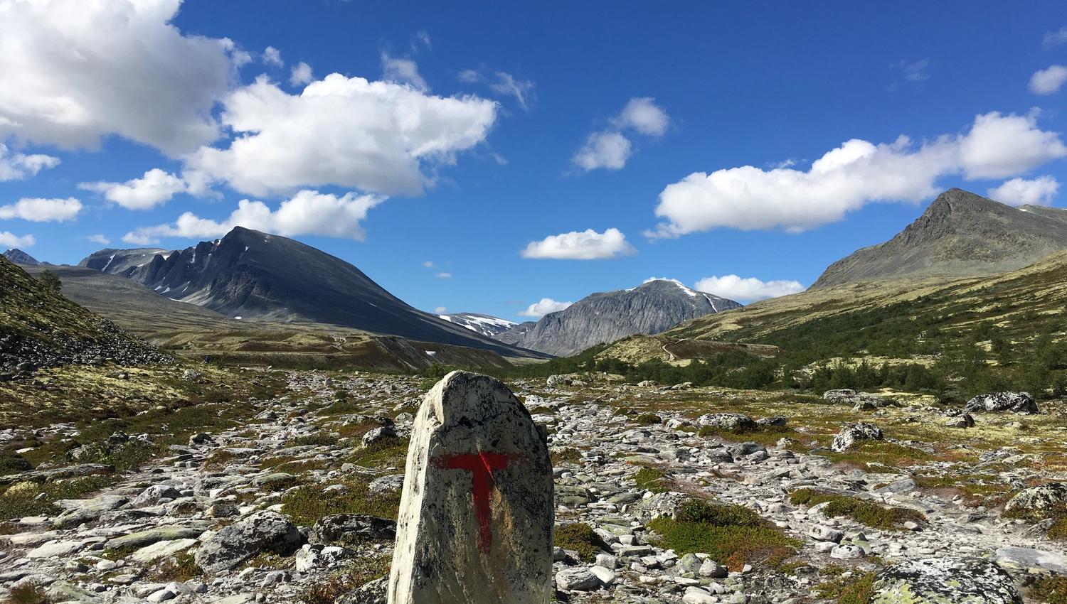 Rondane fjellutsikt i nærheten av Døralseter | Venabu Fjellhotell