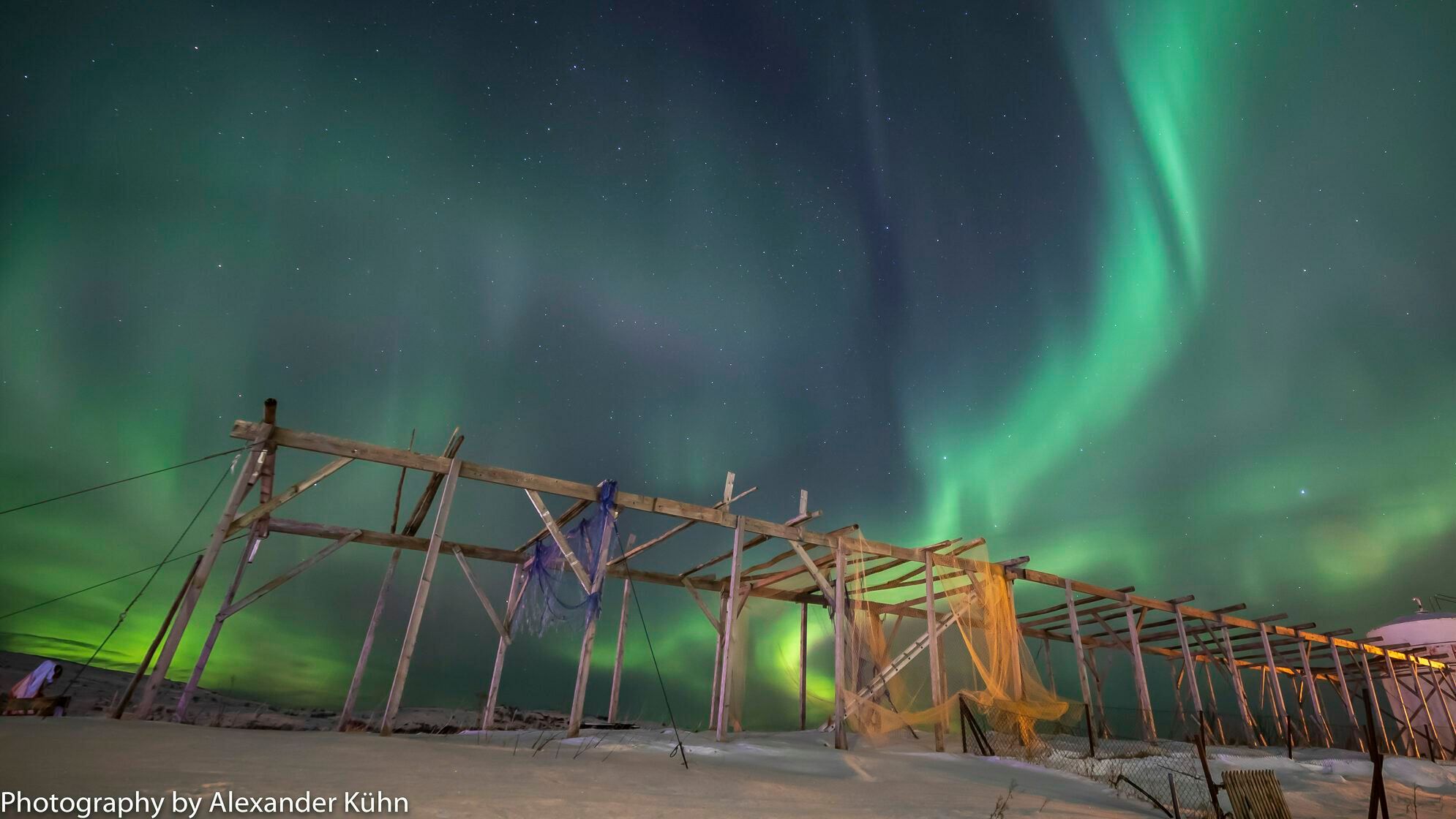 Fish flake under the aurora borealis