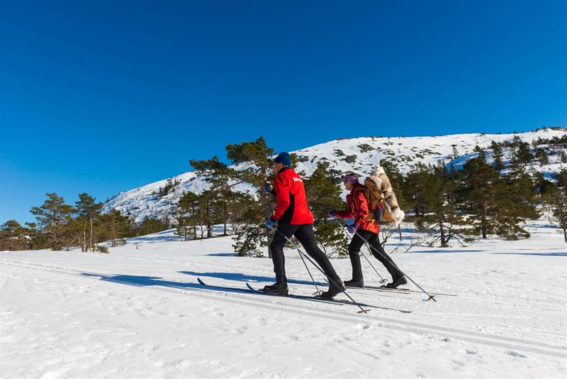 Vinter på Hillestad