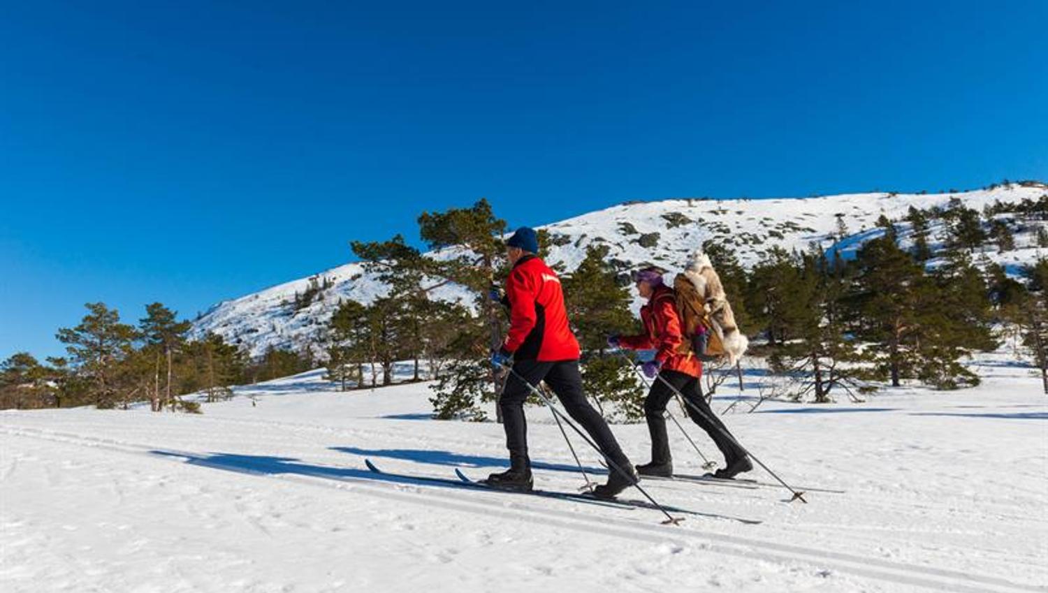 Vinter på Hillestad