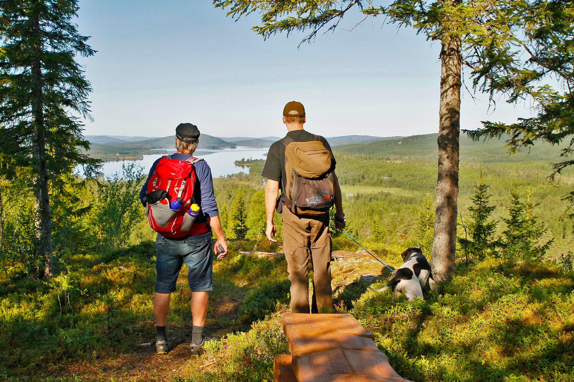 steinkjer steinkjer kommuneskoger vandring norges geografiske midtpunkt (19) WEB