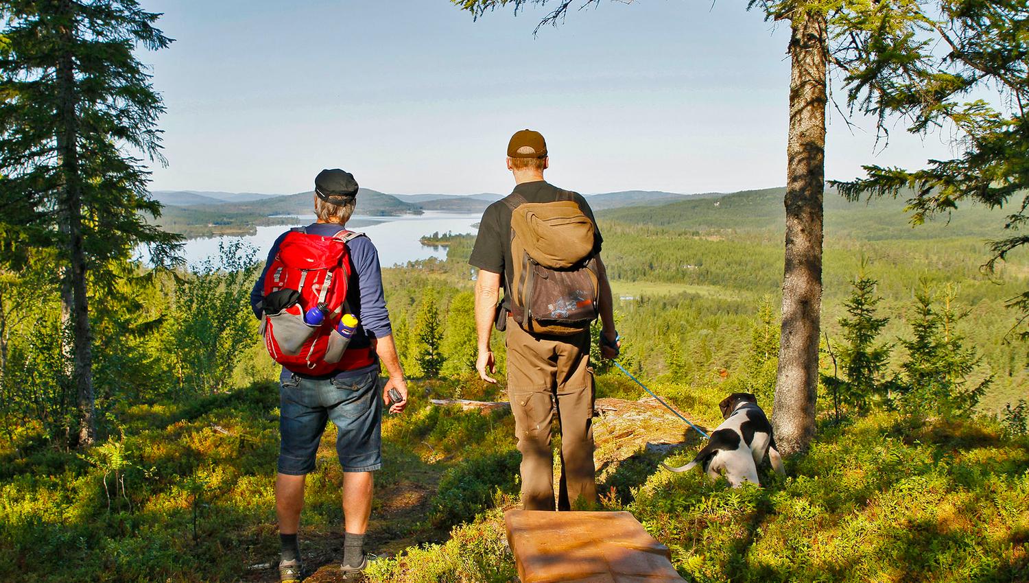 steinkjer steinkjer kommuneskoger vandring norges geografiske midtpunkt (19) WEB
