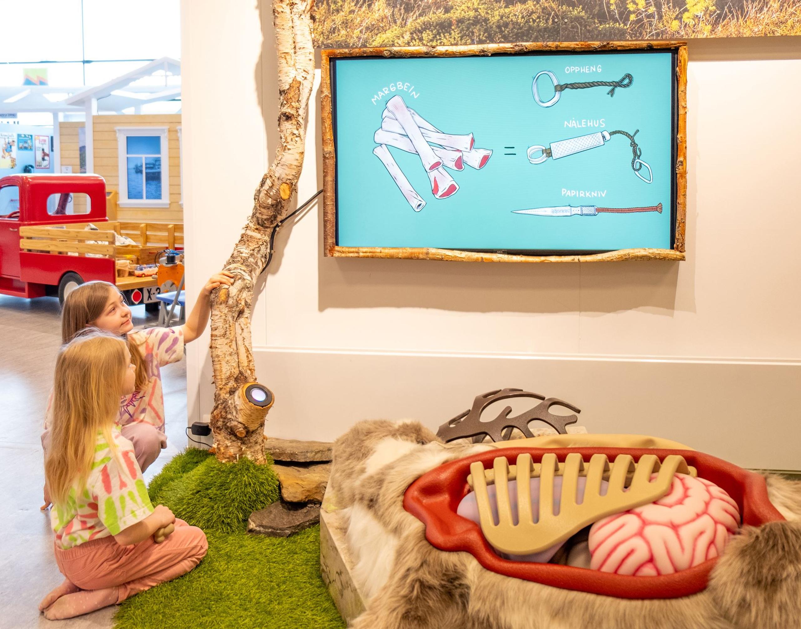 children learning reindeer anatomy