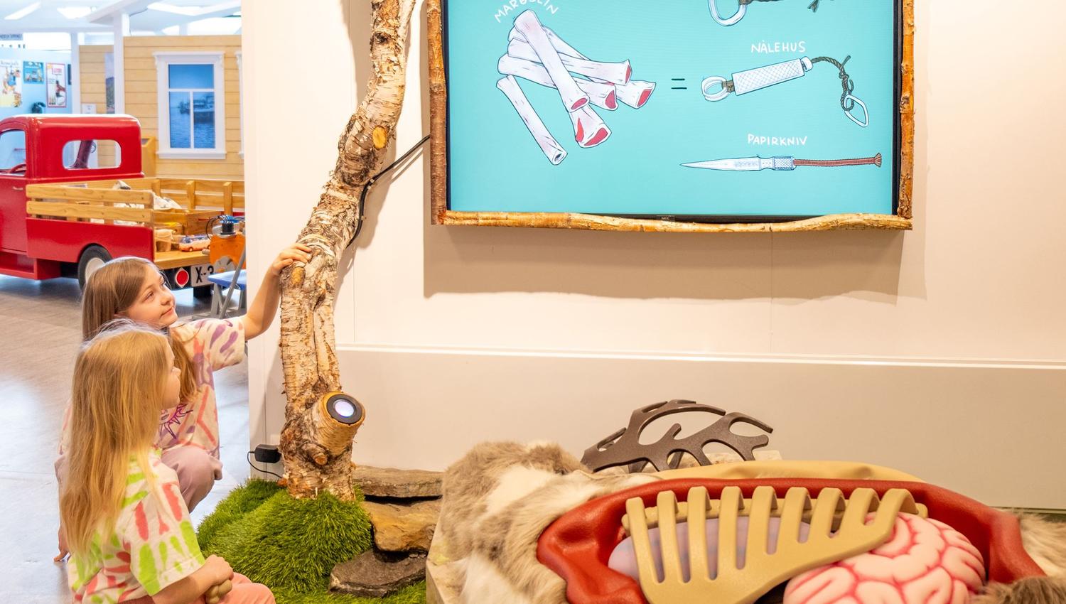 Children learning animal anatomy at a museum.