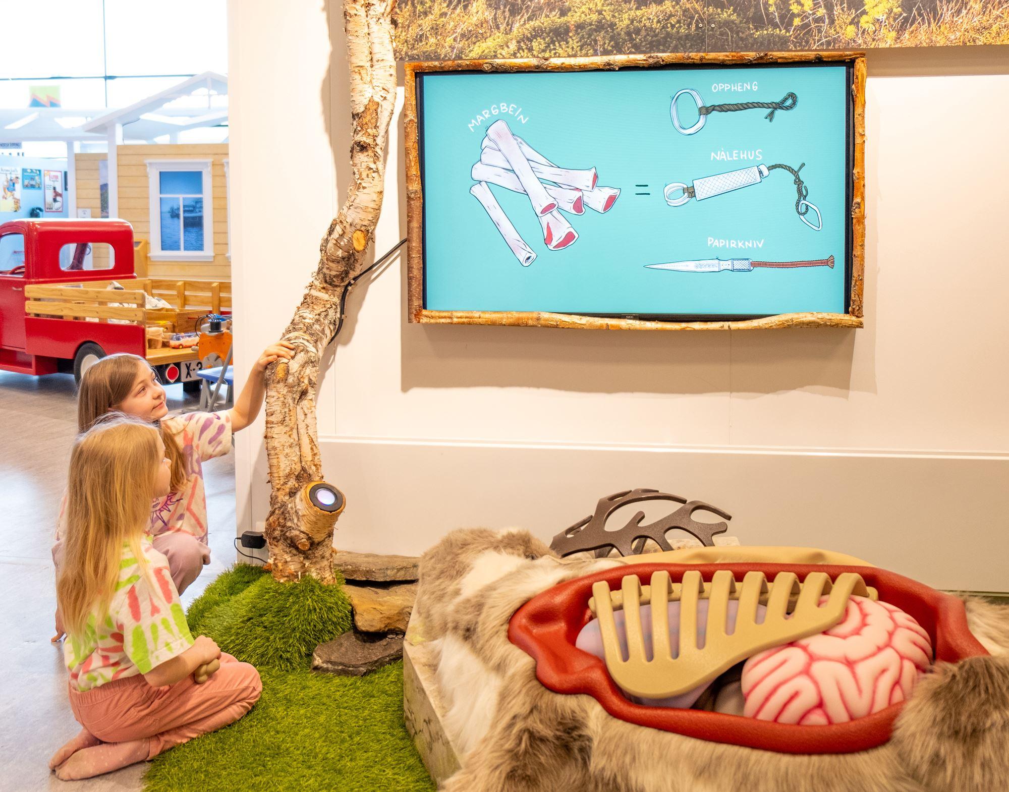 children learning reindeer anatomy