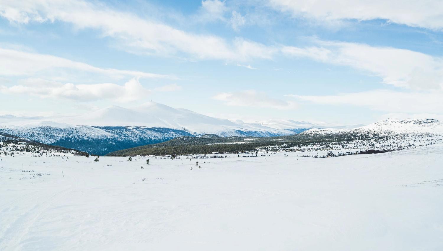 Foto- Erland Husom-Nasjonalparkriket