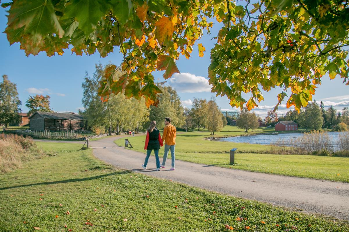 To personer går på en parkvei omgitt av grønt gress og trær med høstfarger.