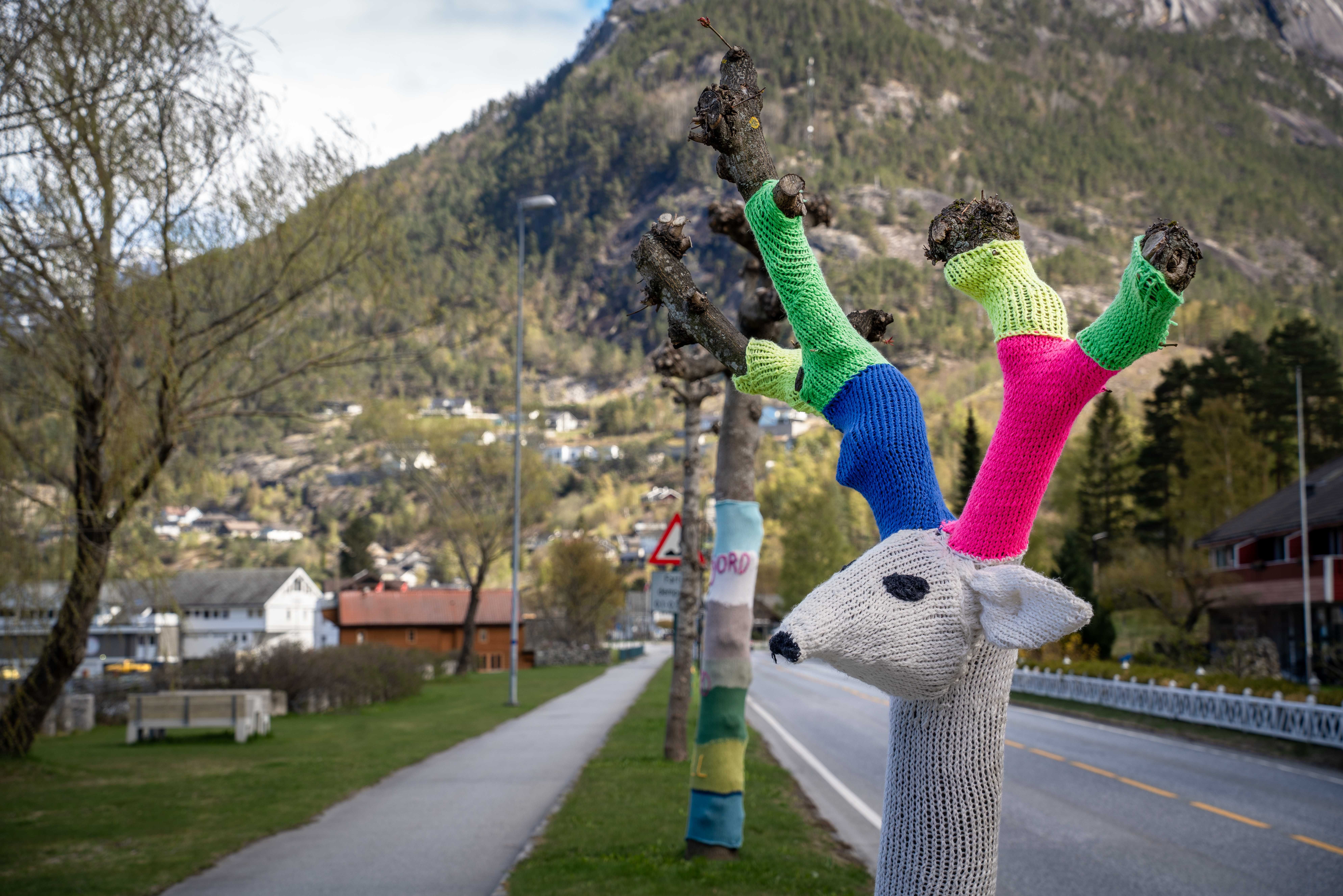 Some of the "knitted trees" next to the main road.