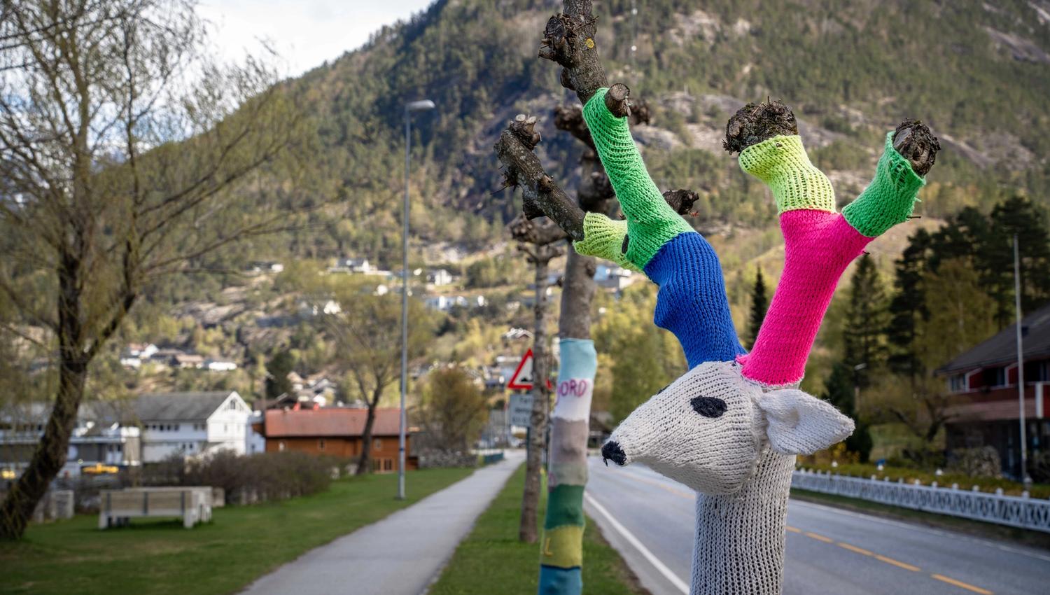 Some of the "knitted trees" next to the main road.