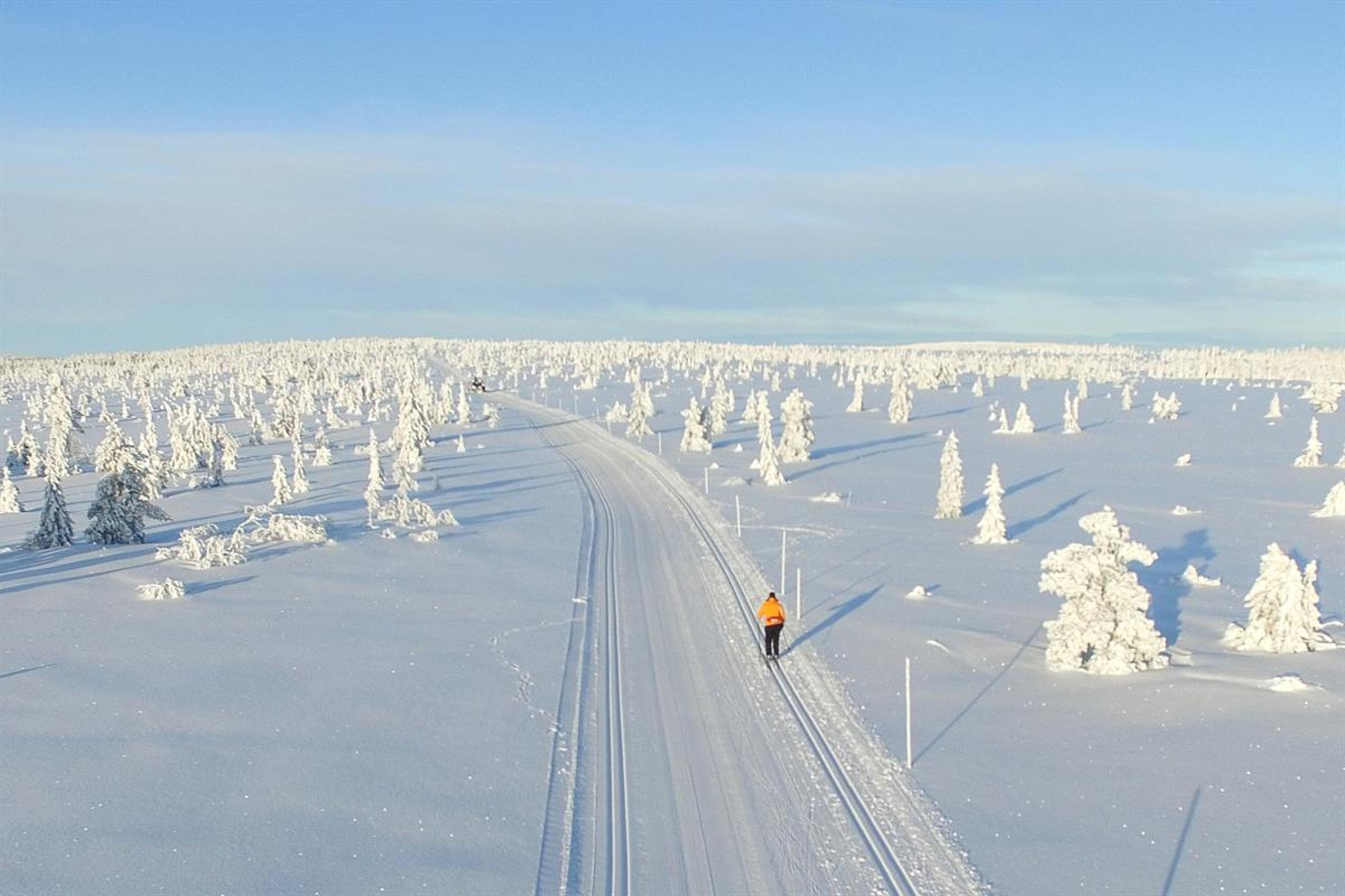 En langstrakt skisportrase gjennom et snødekket vinterlandskap, omgitt av trær helt dekket av snø.