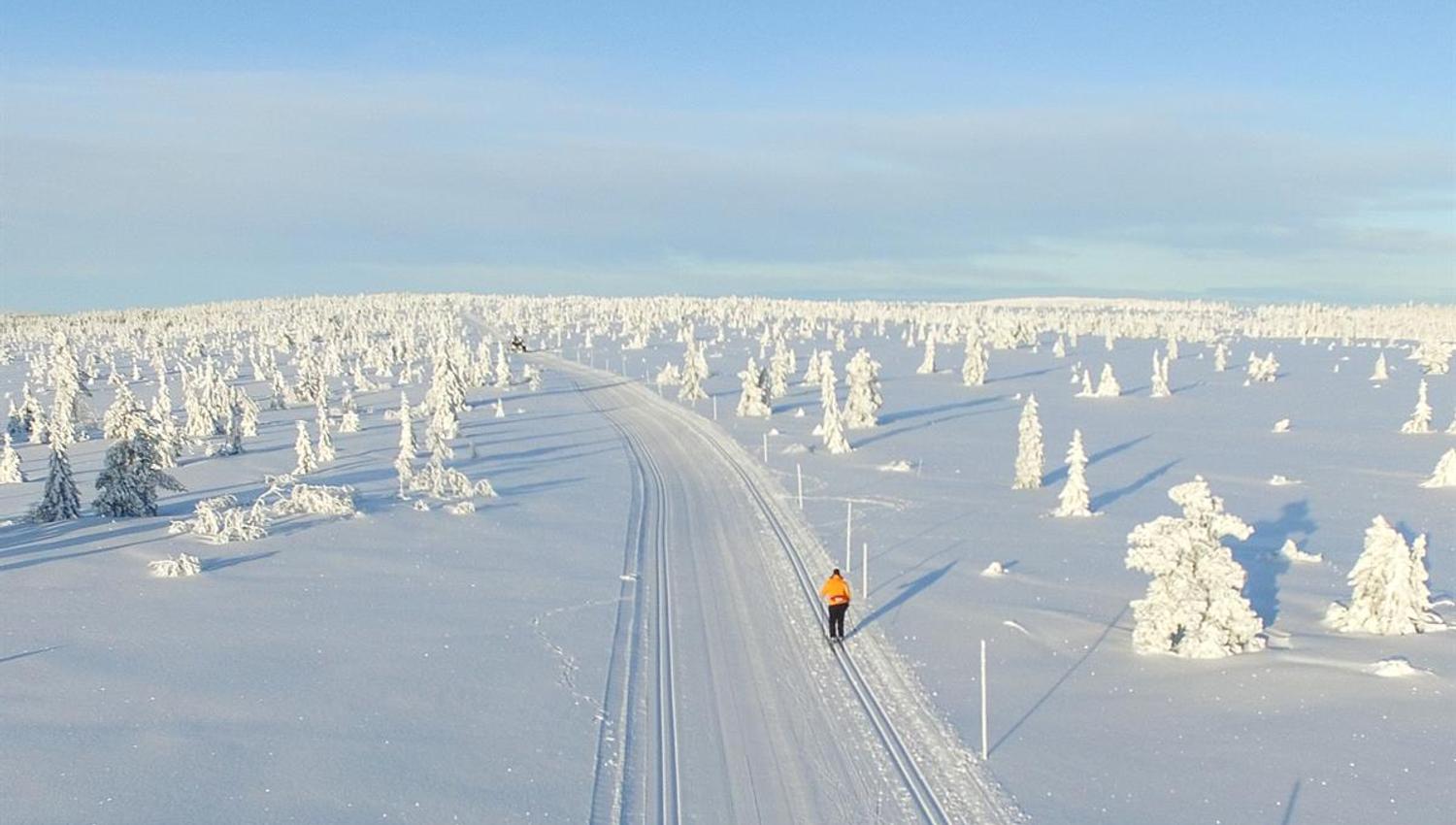 A long cross-country ski trail stretching through a snowy winter landscape, surrounded by snow‑covered trees.