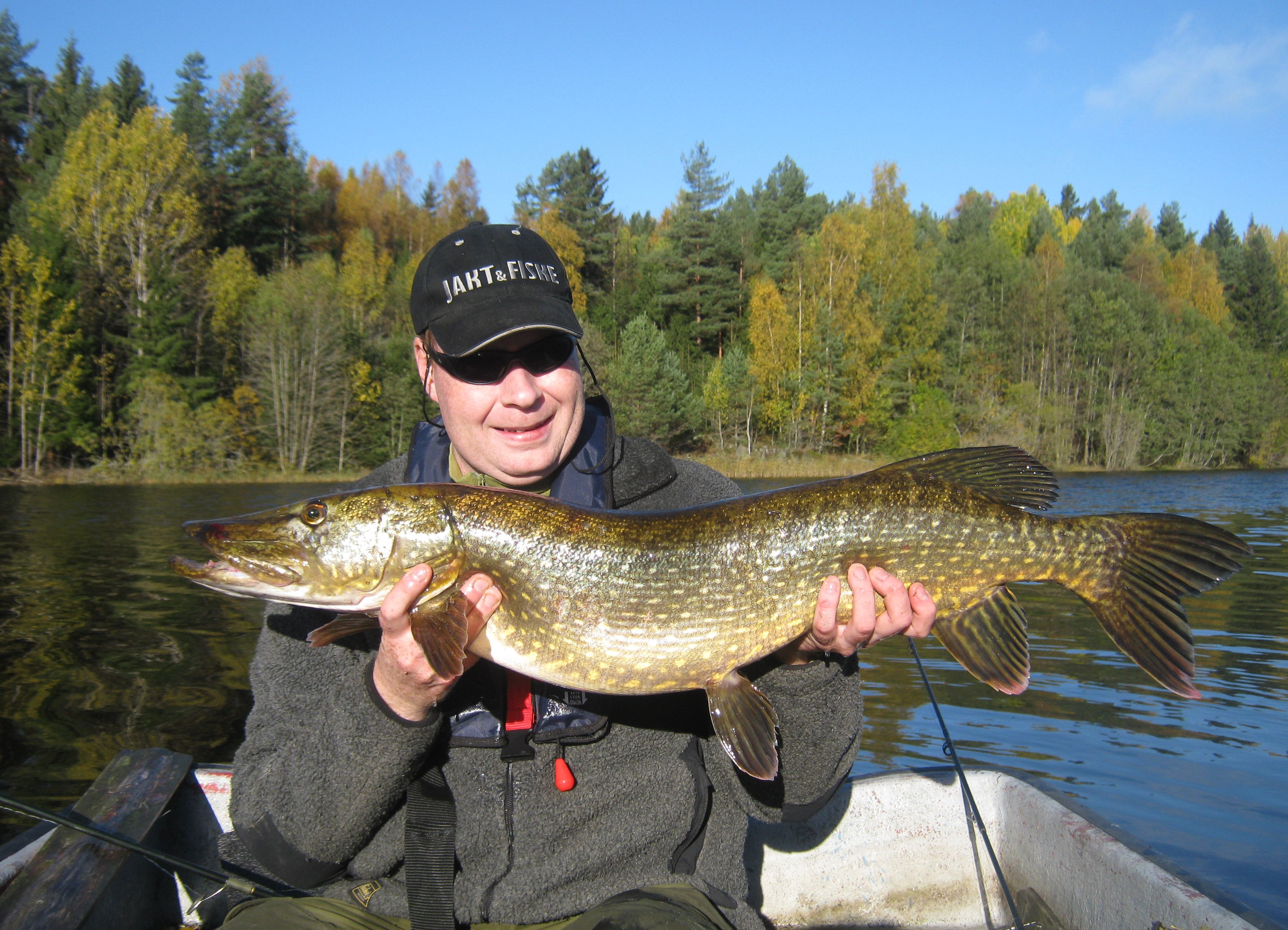 Mann som holder fisk