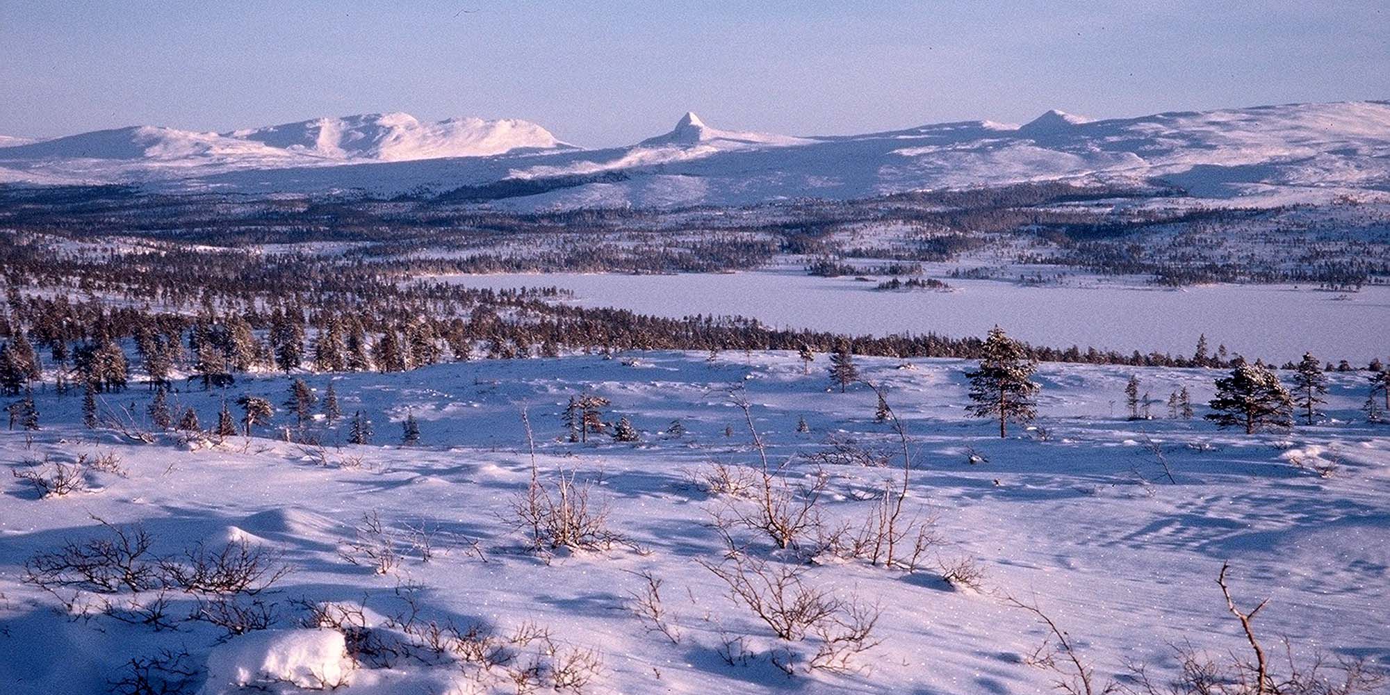 Lurusneisa from Andorsjøen