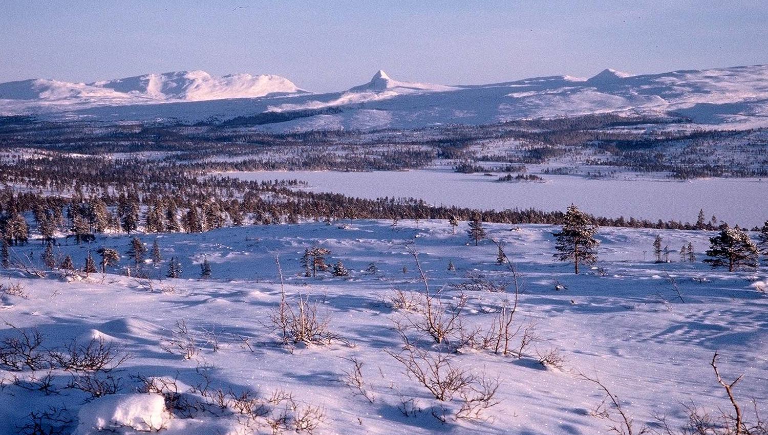 Lurusneisa from Andorsjøen