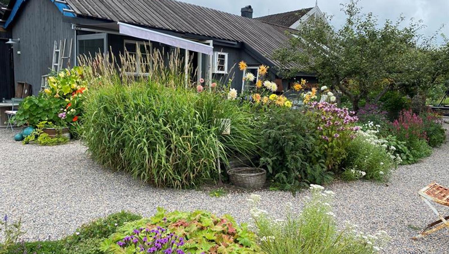 Alonsohuset fasade