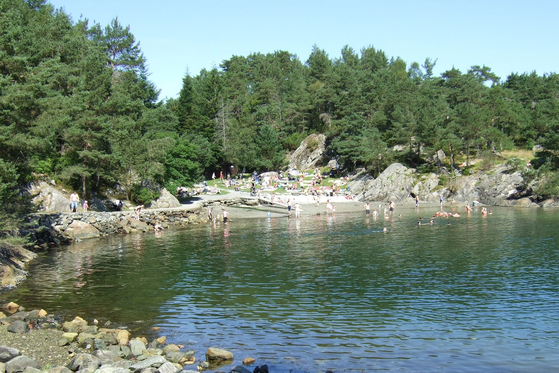 Grønevika