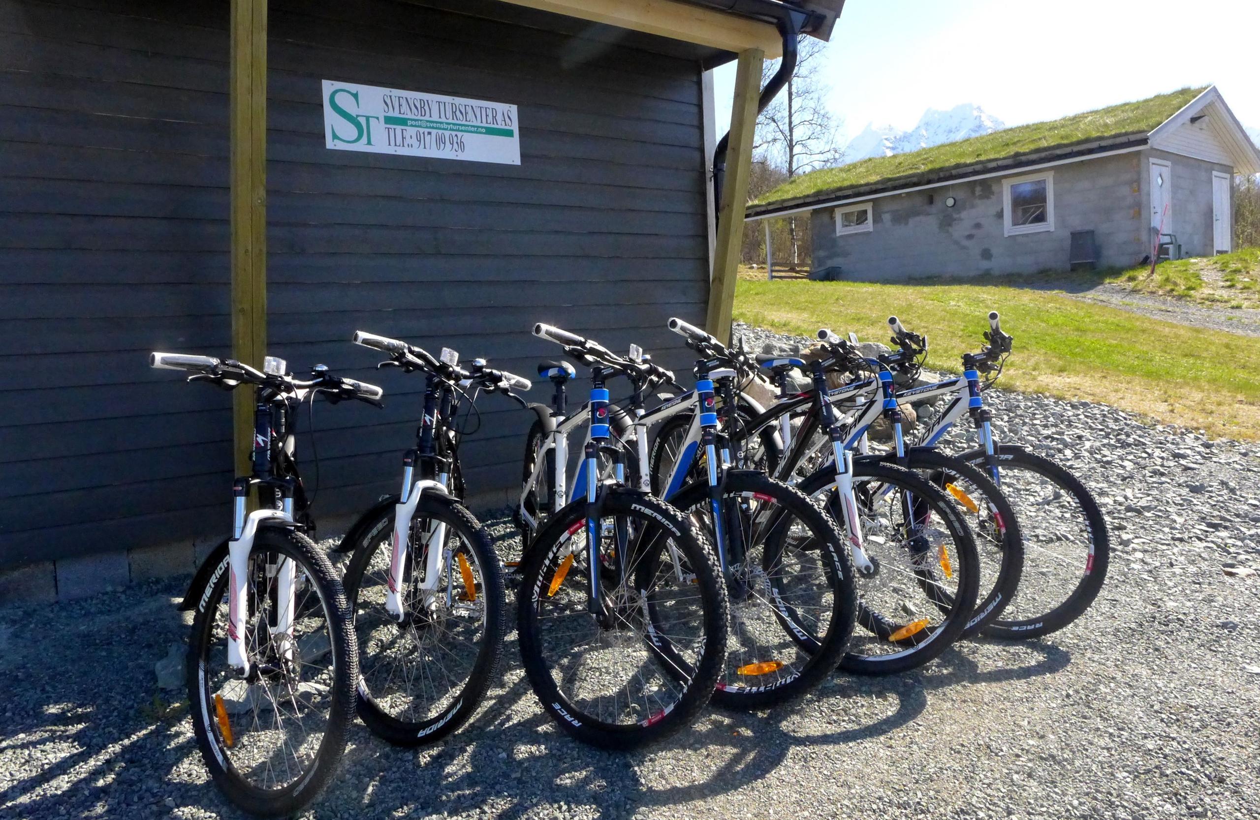 Seven bikes lined up outside a shed on a sunny day