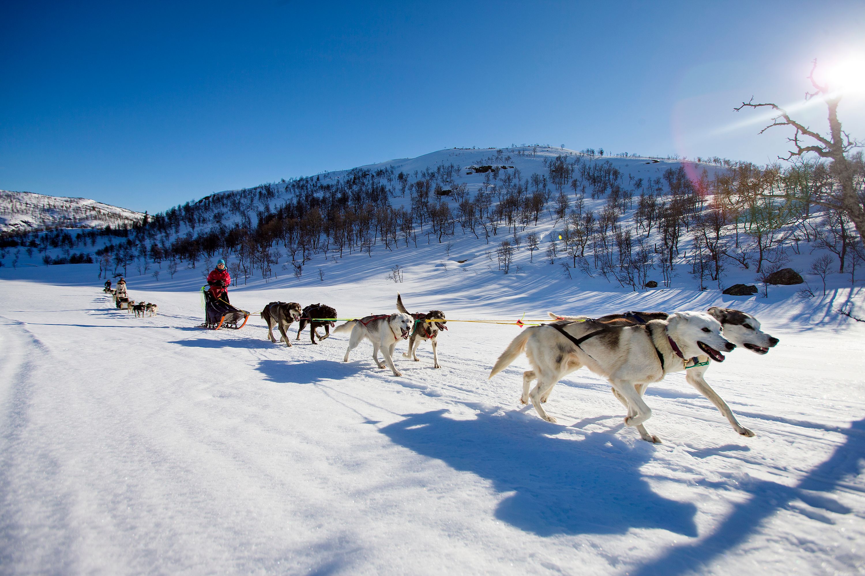 Haukeli Husky ut på tur