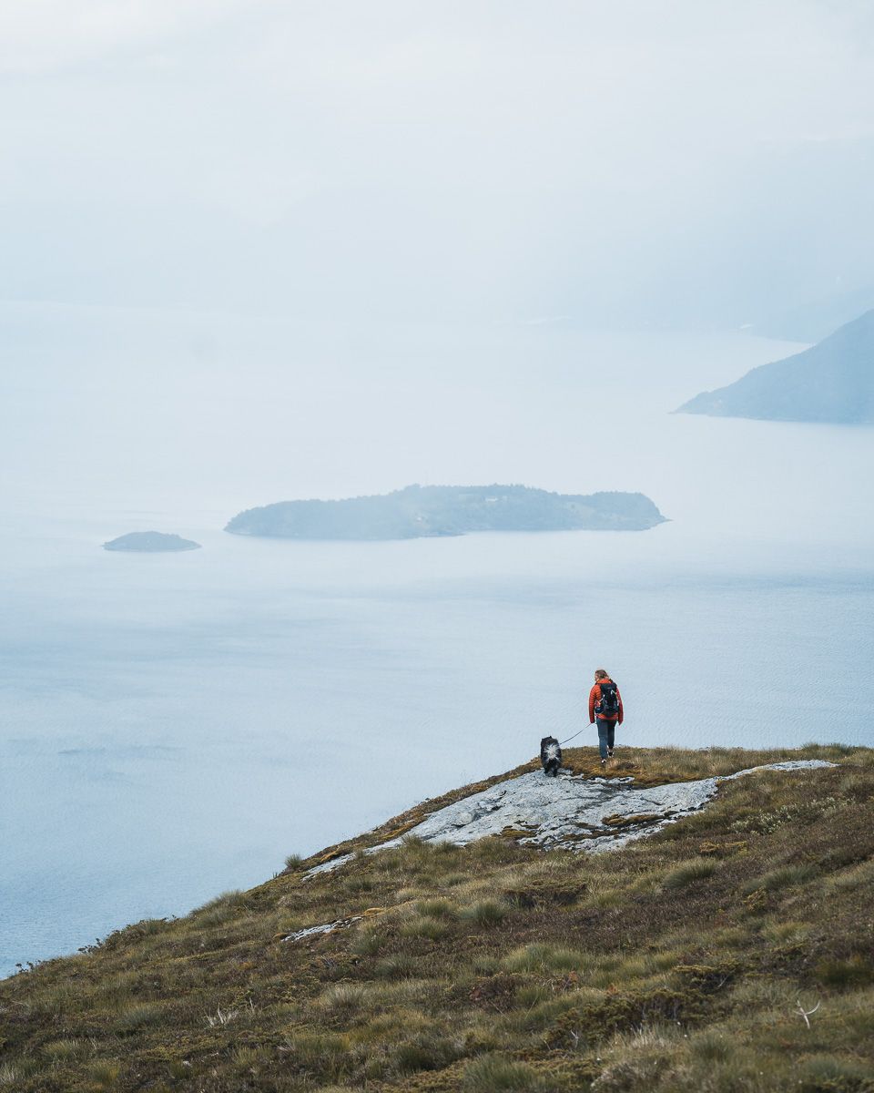 Woman and dog hiking in the mountains over the Hardangerfjord. 