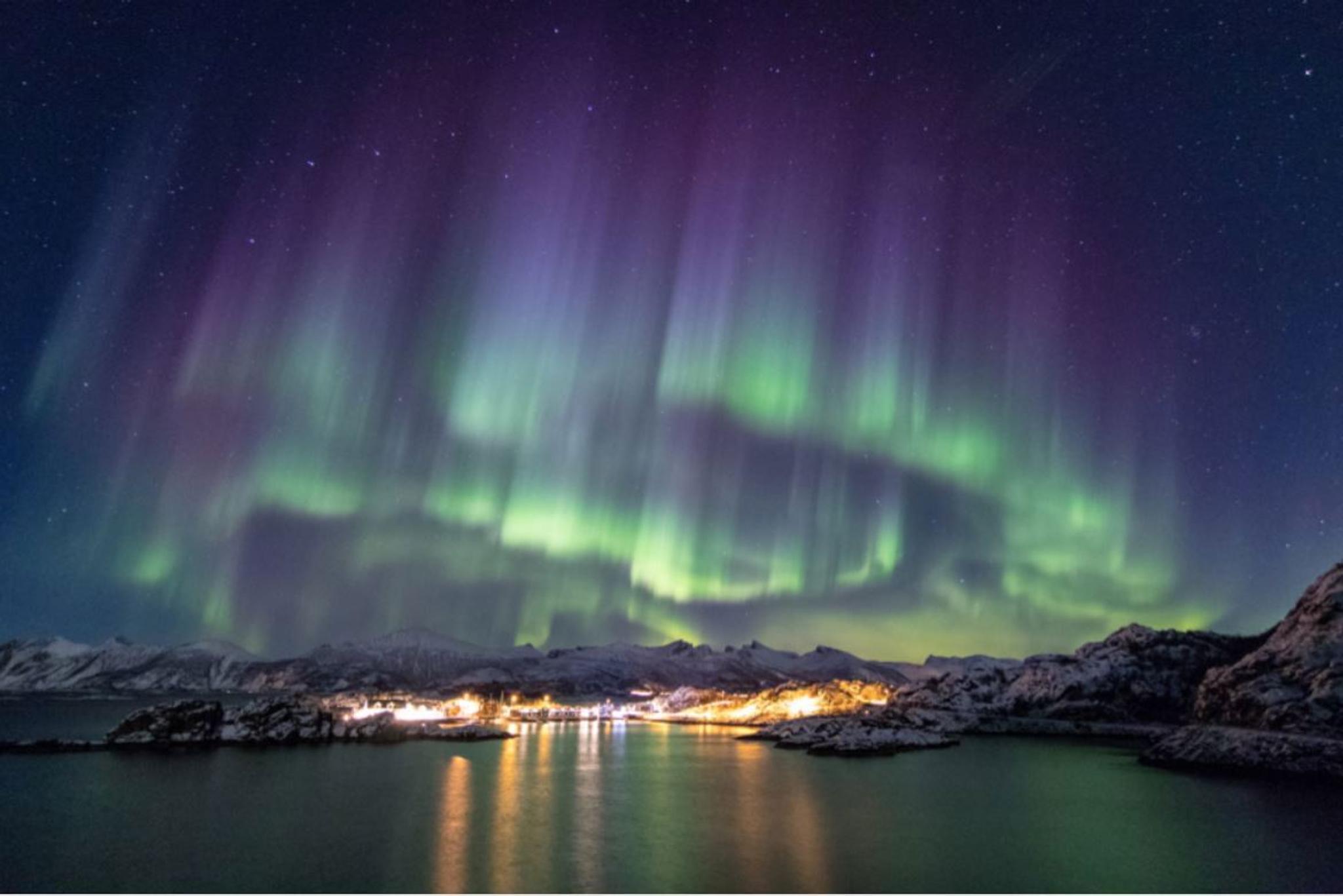 Nordlys over Senja