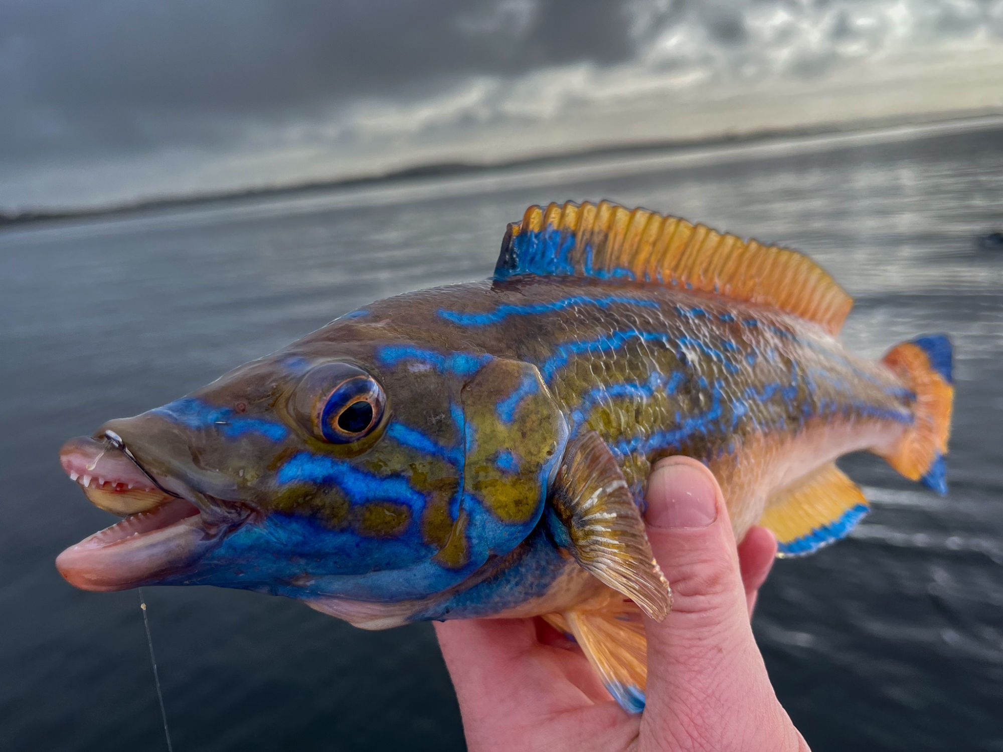 Stavanger Adventure fishing tour