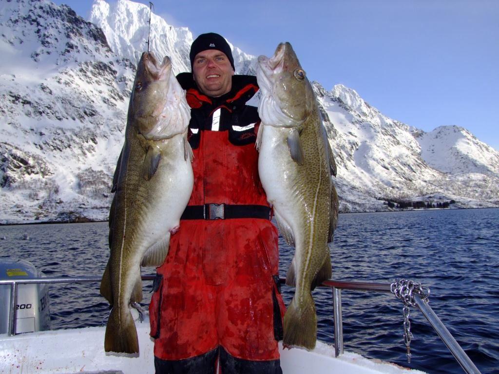 Angeln in Lofoten