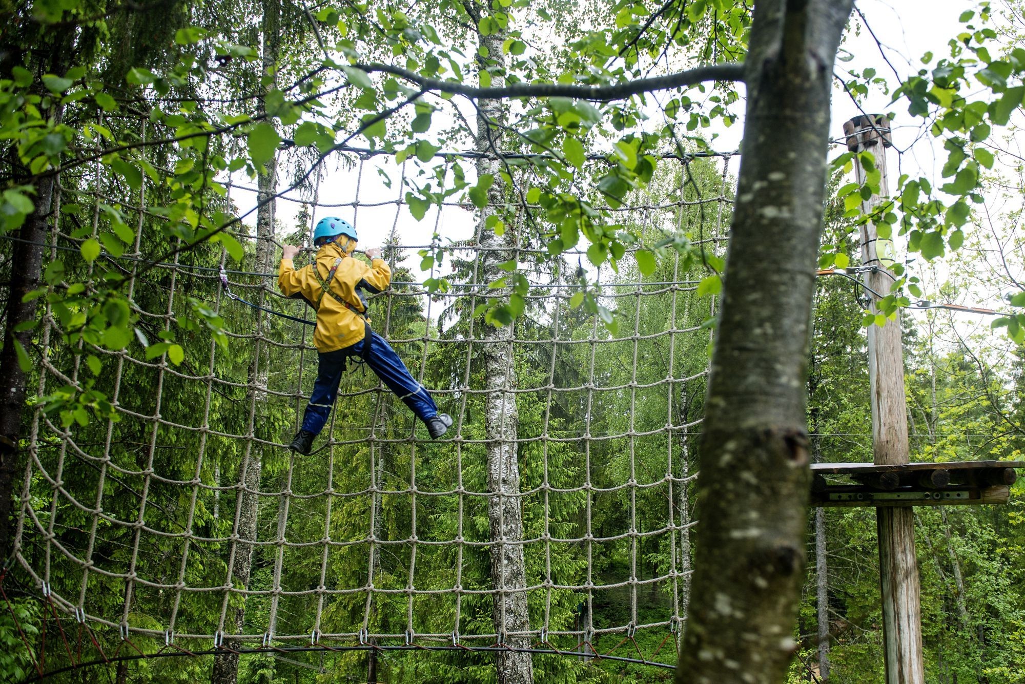Someone who climbs a net