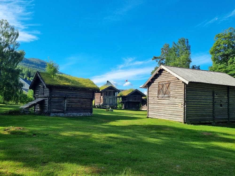 Fyresdal_sommer_Øyskogen-juni-1000x750