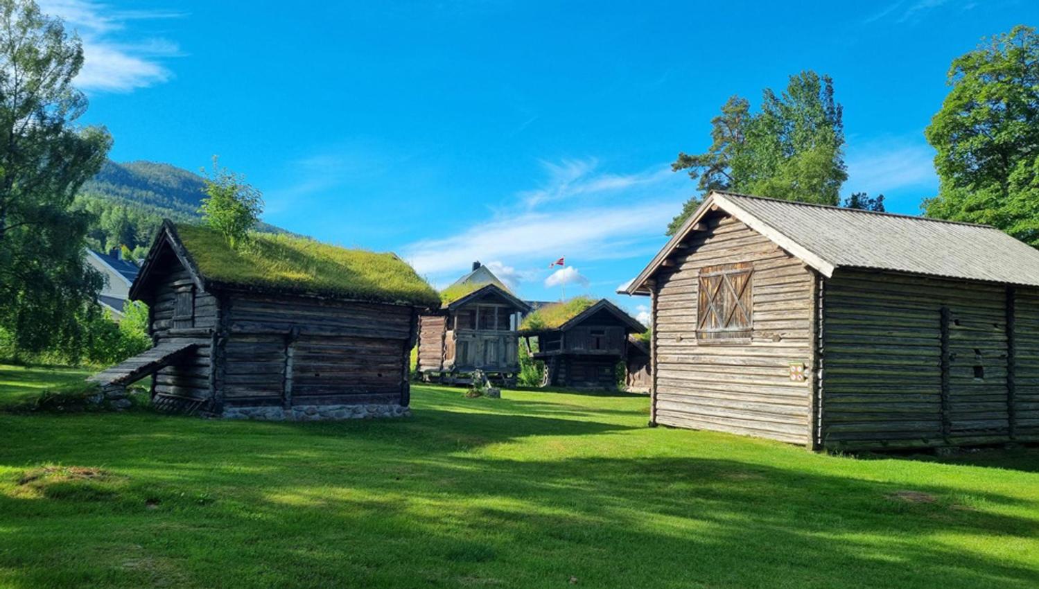 Fyresdal_sommer_Øyskogen-juni-1000x750