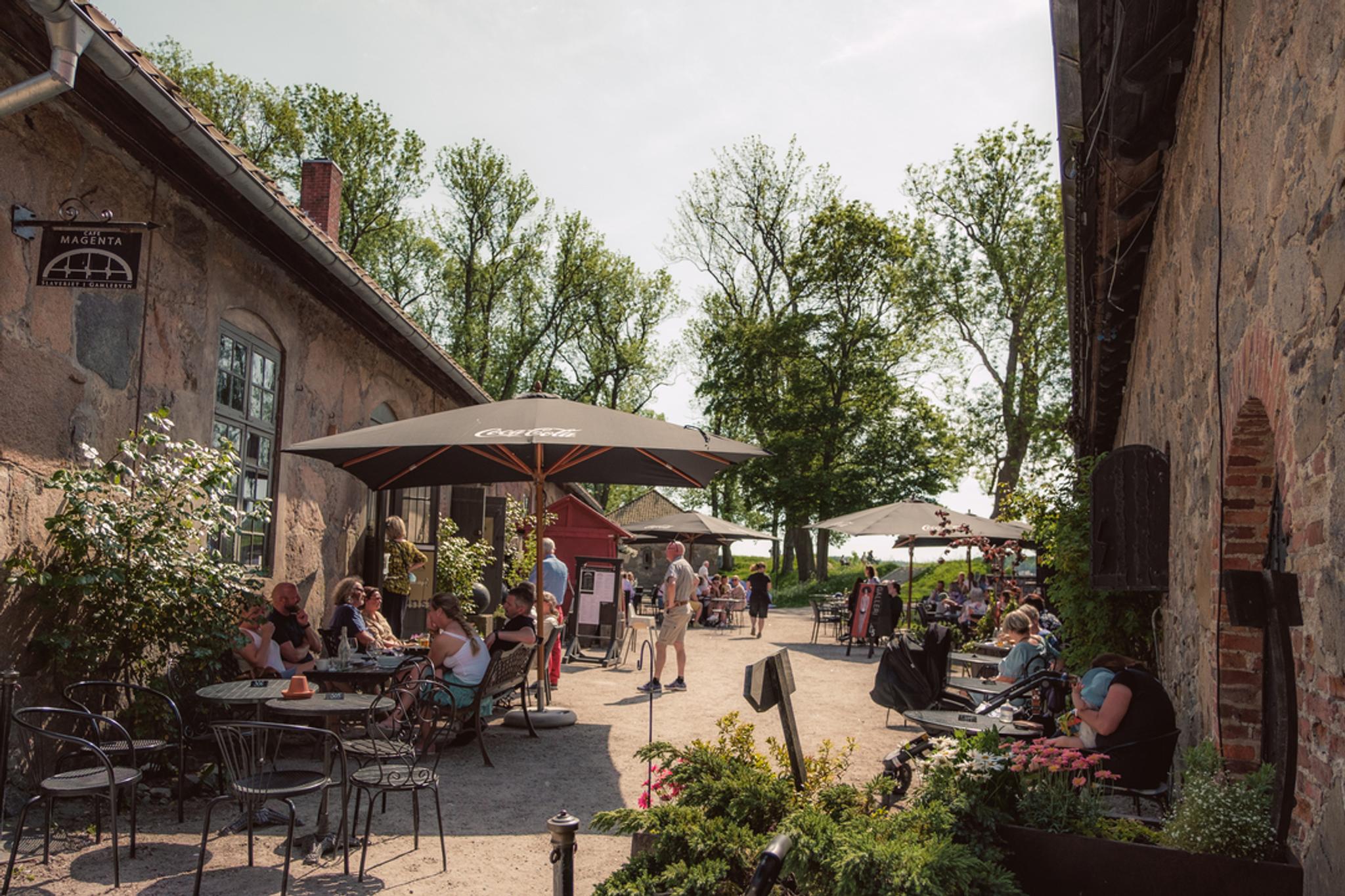 Cafe Magenta
