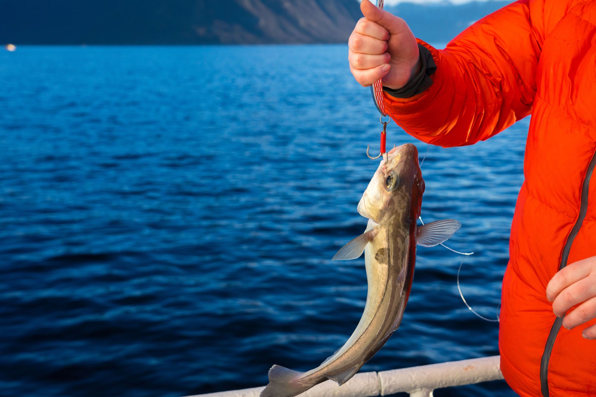 Lykken er en fisk