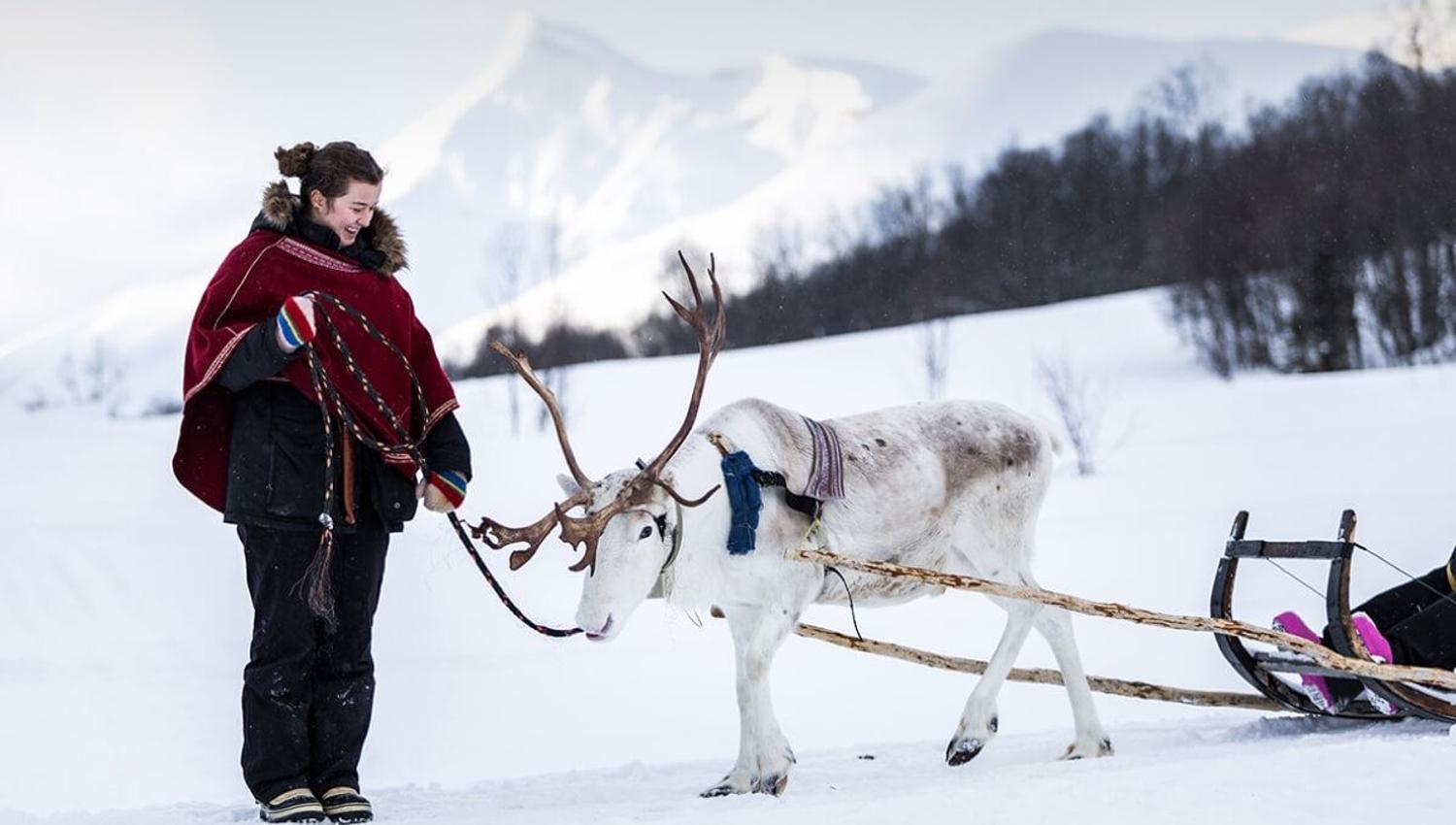 Guide with a reindeer at Camp Tamok