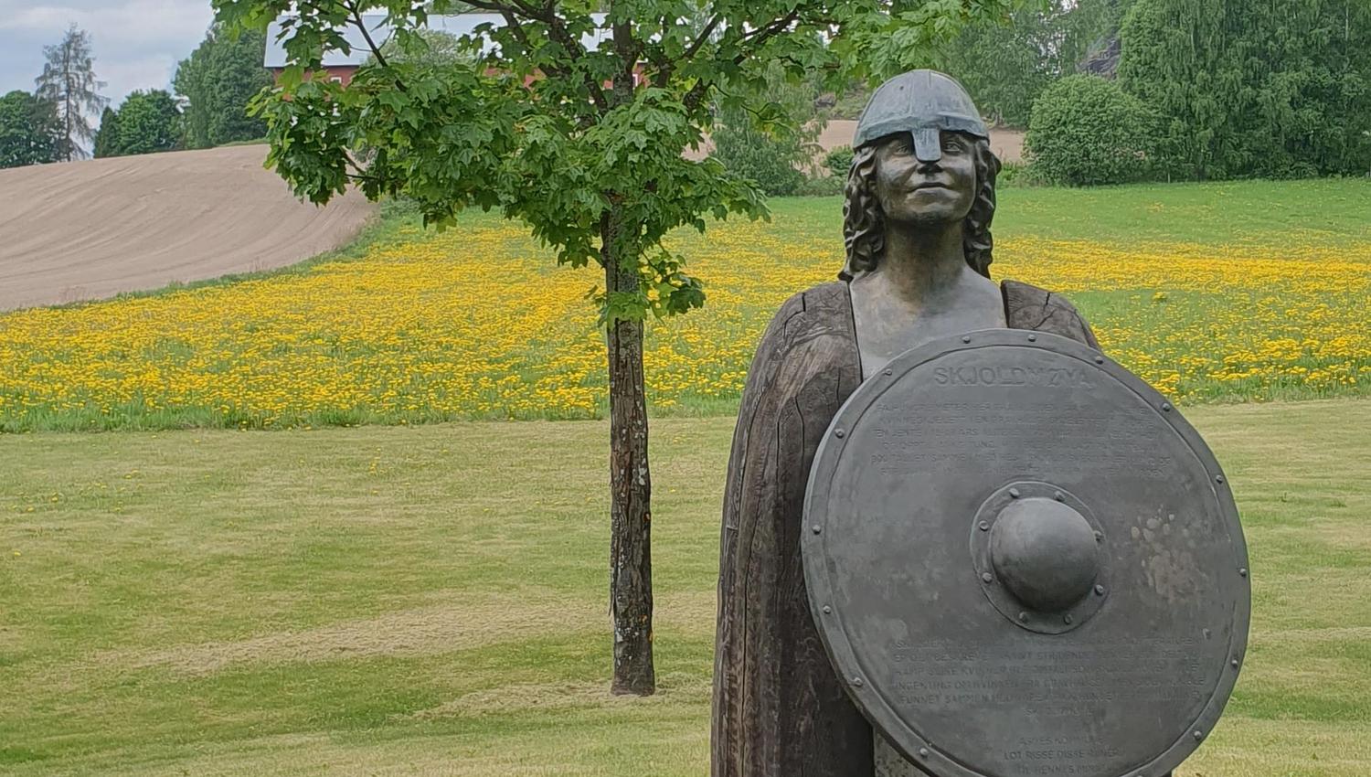 Skjoldmøya Flisa