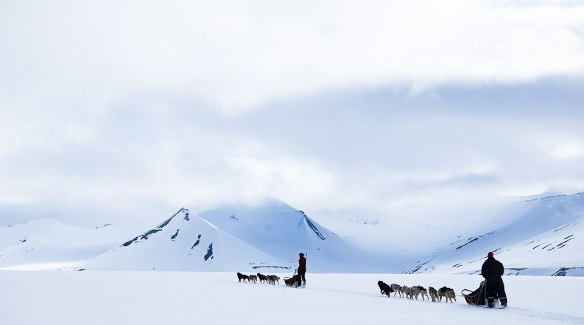 Two sled teams out on a tour